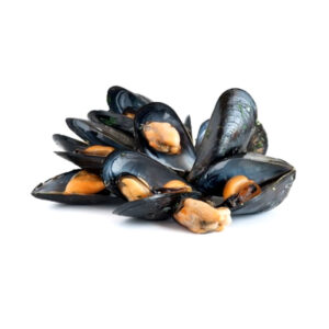 Mussel