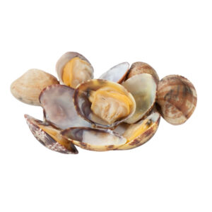 Vongole