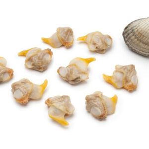 vongole polpa