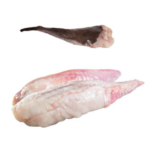 filetto rana pescatrice