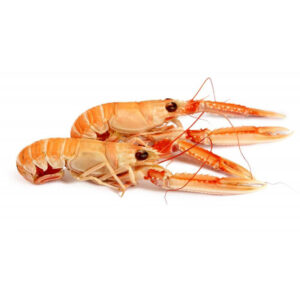 Langoustine